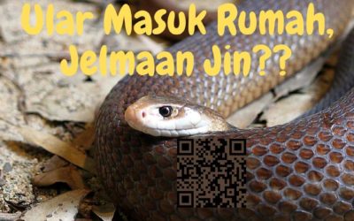 Ular Masuk Rumah, Jelmaan Jin??